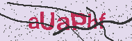 Captcha認証コード